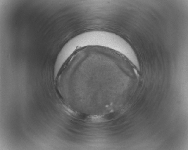 X0000068890093200606021930