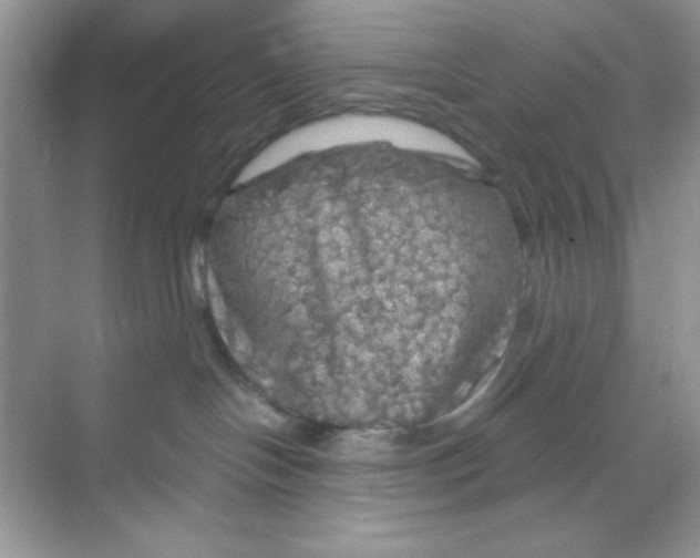 X0000068890094200606021930