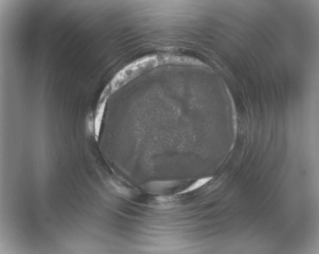 X0000068890095200606021930