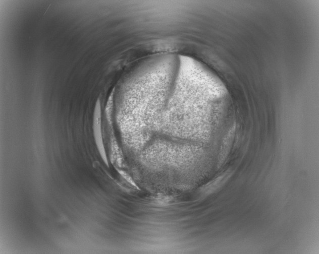 X0000068890096200606021931