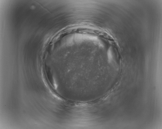 X0000068890097200606021930