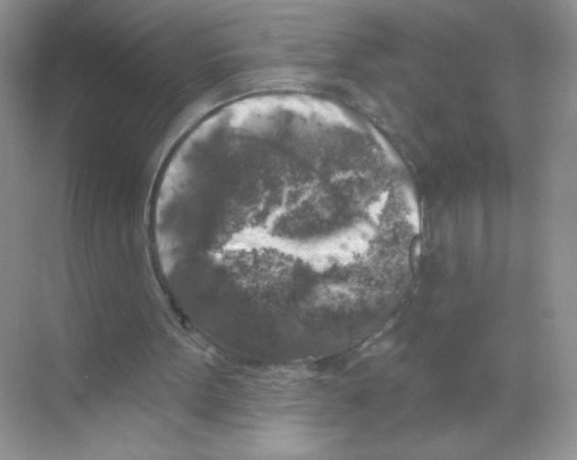 X0000068890099200606021930