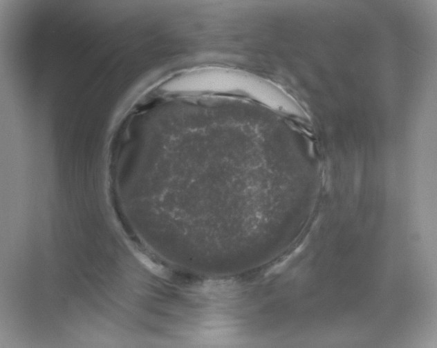 X0000068890101200606021930