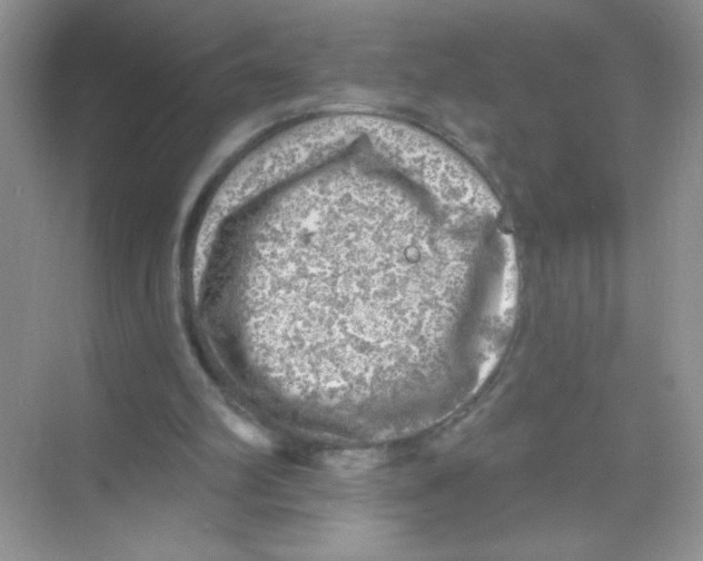 X0000068890102200606021930