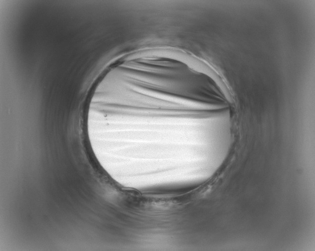 X0000068890103200606021930