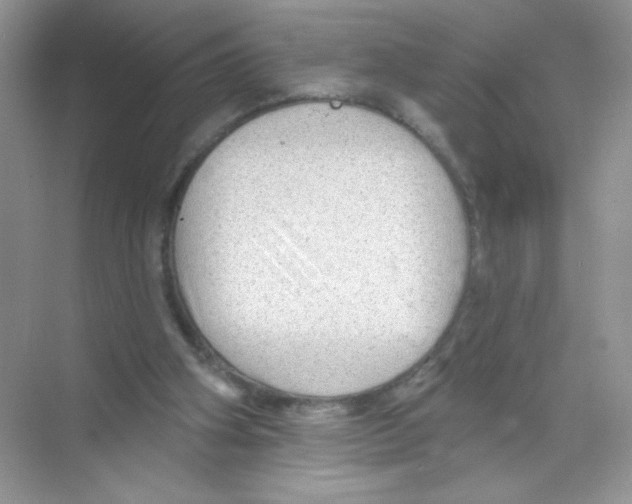 X0000068890106200606021930