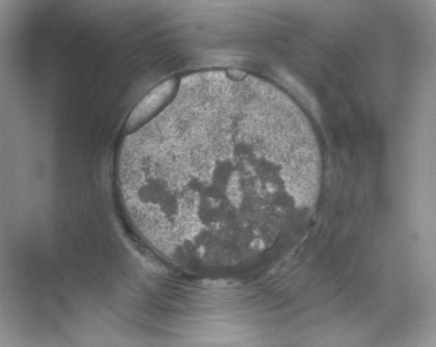 X0000068890107200606021930