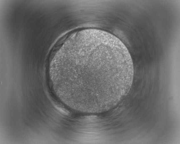 X0000068890108200606021930