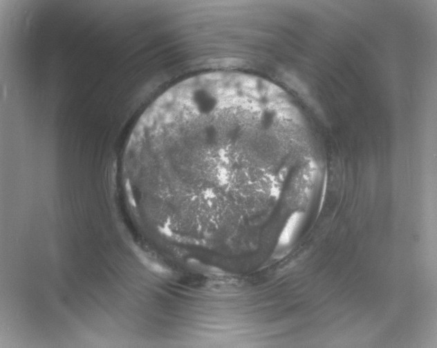 X0000068890110200606021929