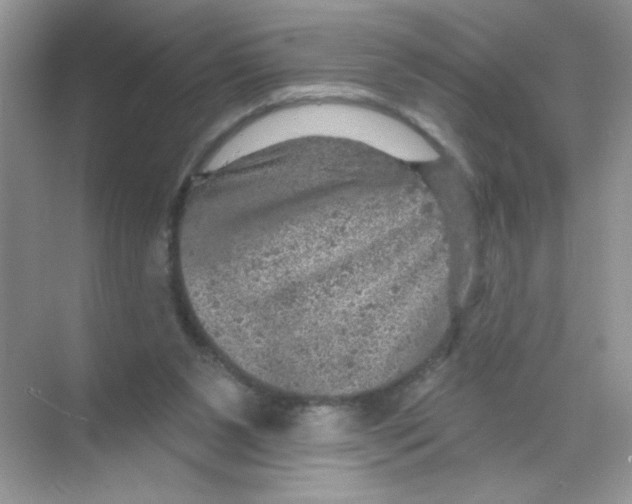 X0000068890111200606021929