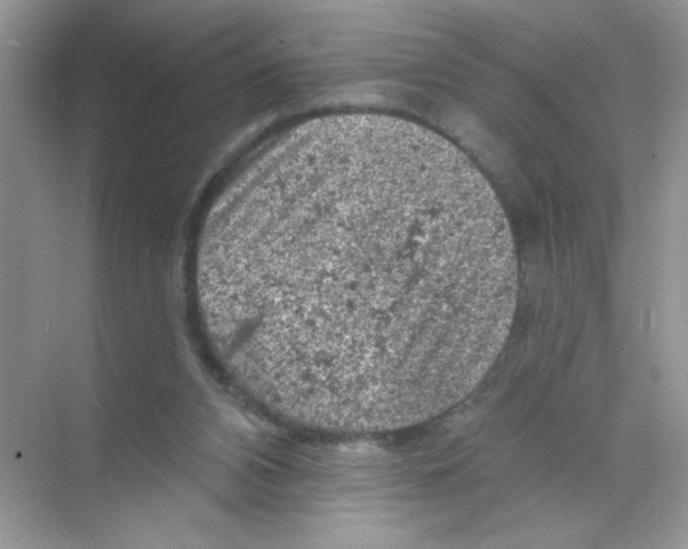 X0000068890112200606021929