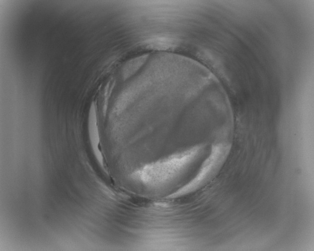 X0000068890114200606021929