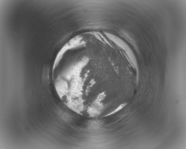 X0000068890115200606021929