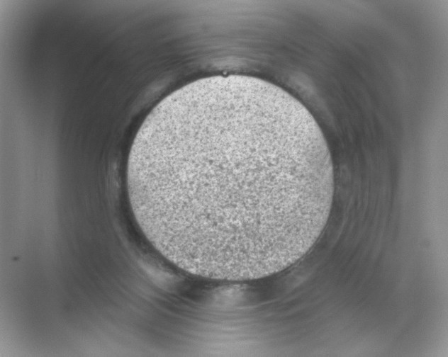 X0000068890116200606021929