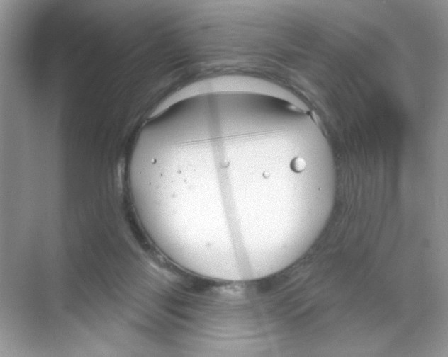 X0000068890118200606021929