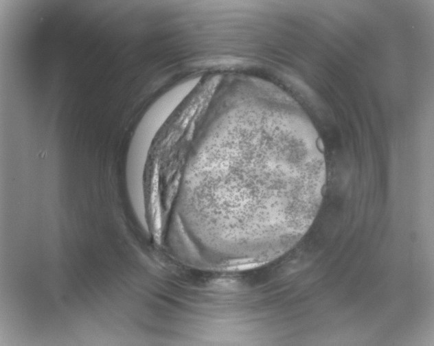 X0000068890119200606021929