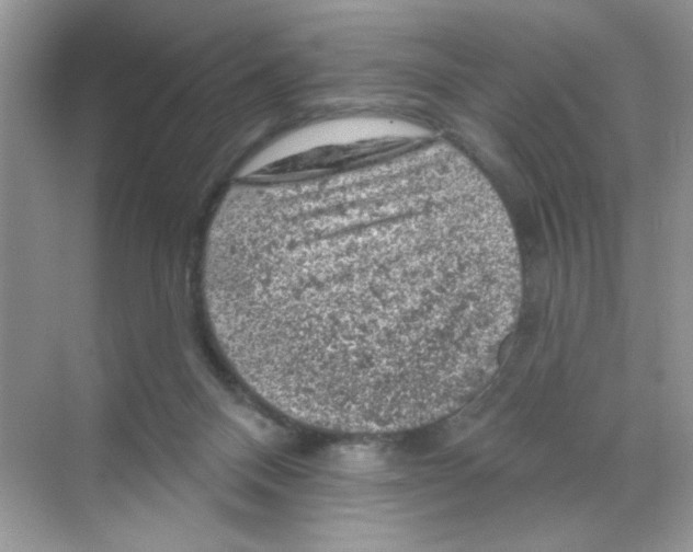 X0000068890120200606021929