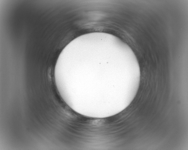 X0000068890122200606021929