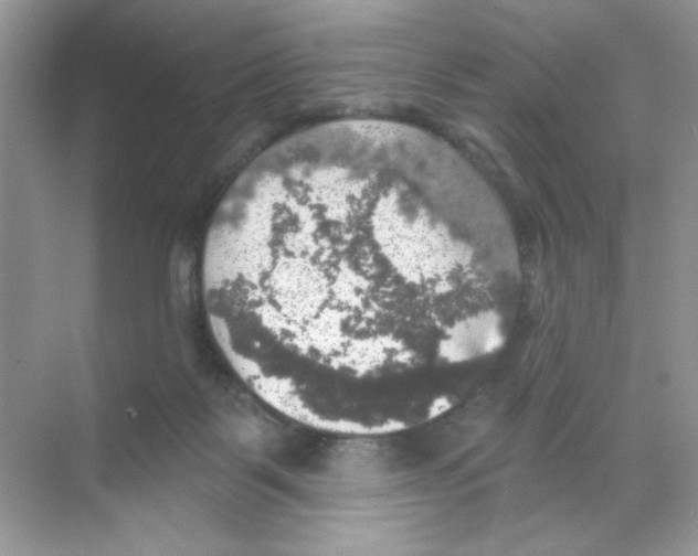 X0000068890123200606021929