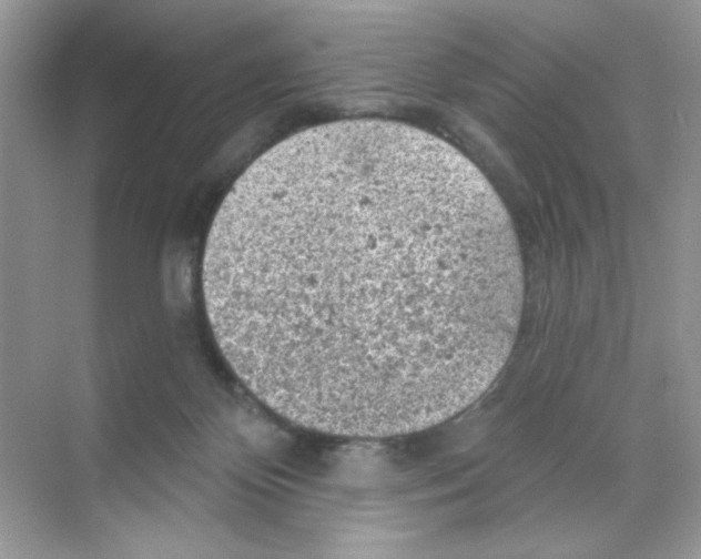 X0000068890124200606021929