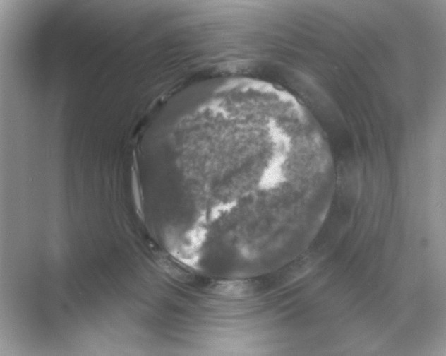 X0000068890127200606021929