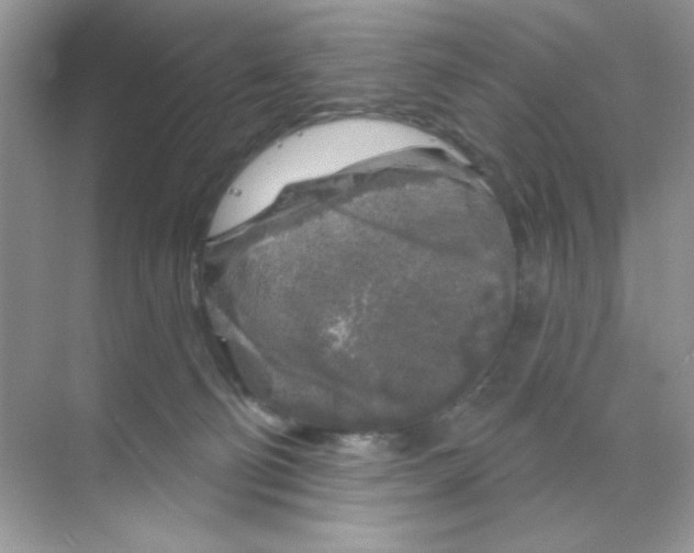 X0000068890130200606021929