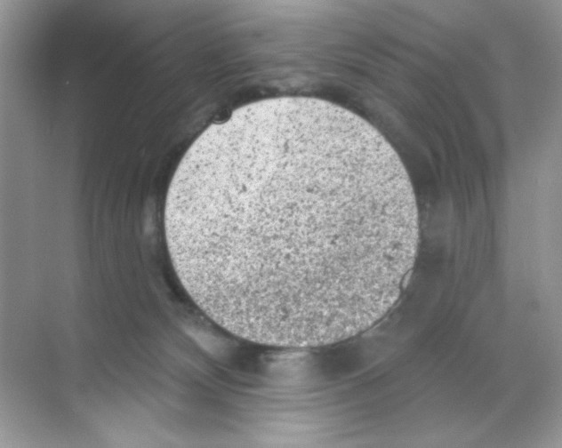 X0000068890132200606021929