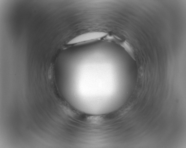 X0000068890133200606021929