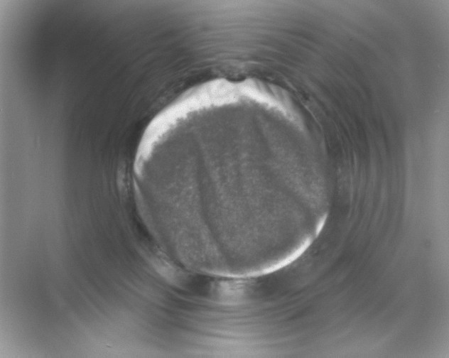 X0000068890134200606021929