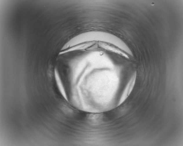 X0000068890135200606021929