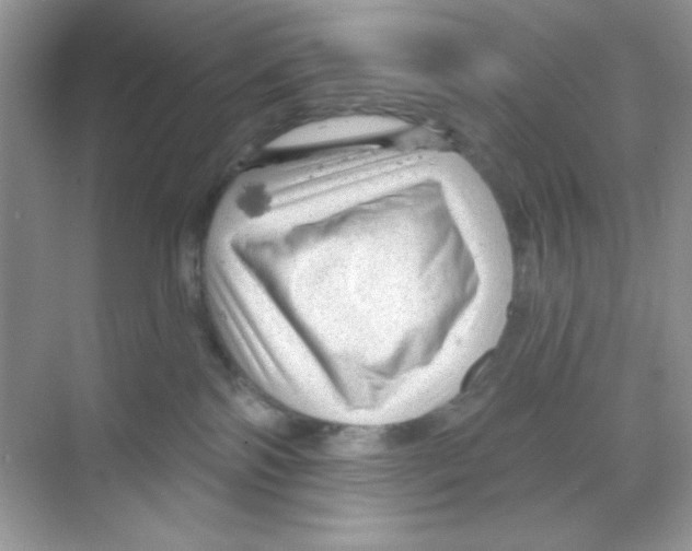 X0000068890138200606021929