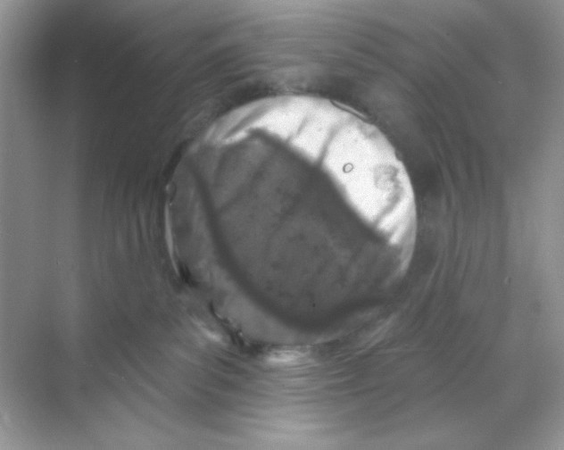 X0000068890139200606021929