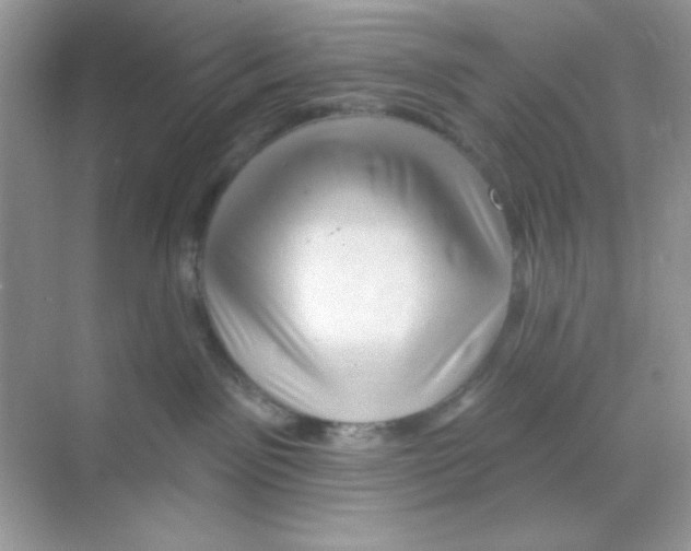 X0000068890141200606021929