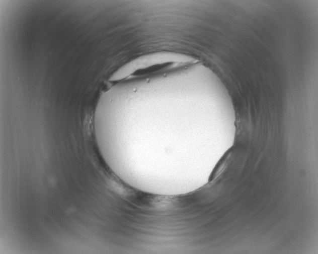 X0000068890142200606021929