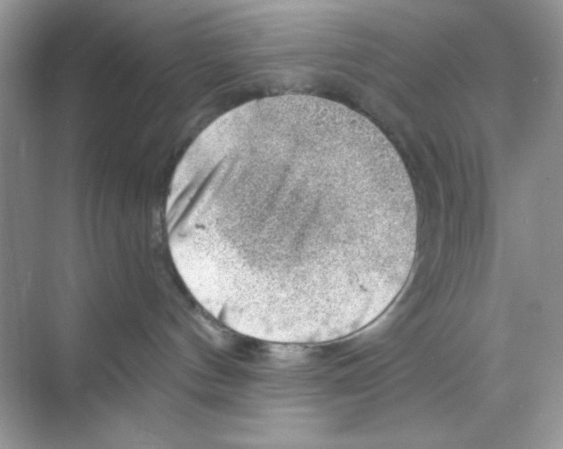 X0000068890144200606021929