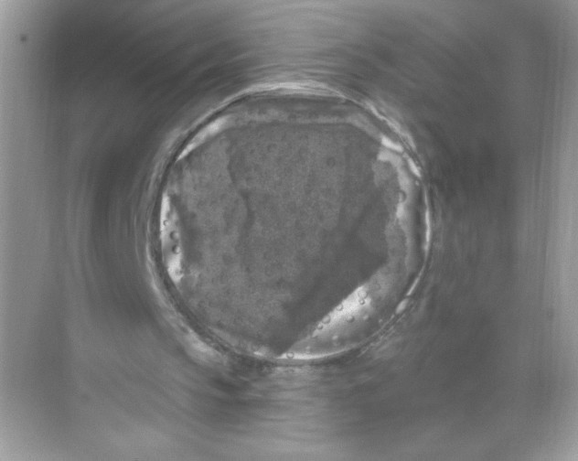 X0000068890145200606021928