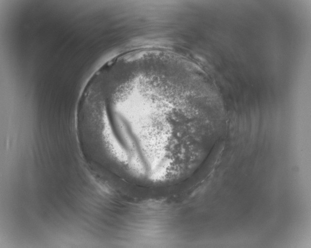 X0000068890148200606021928