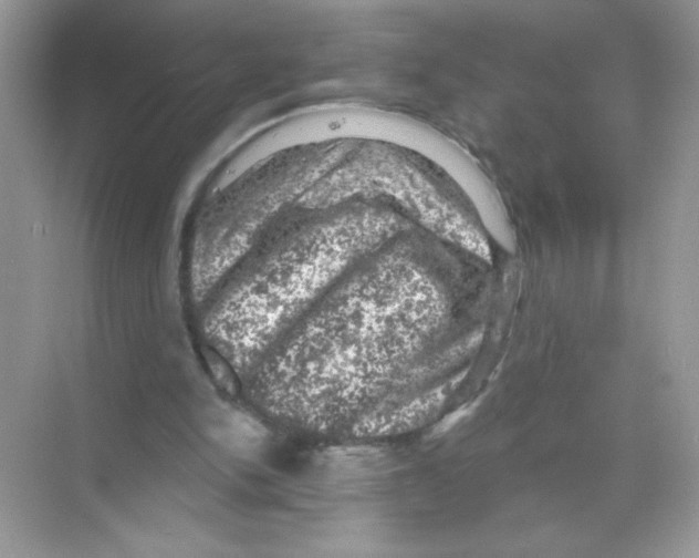 X0000068890150200606021928