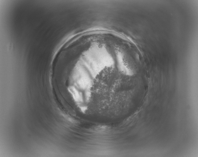 X0000068890152200606021928