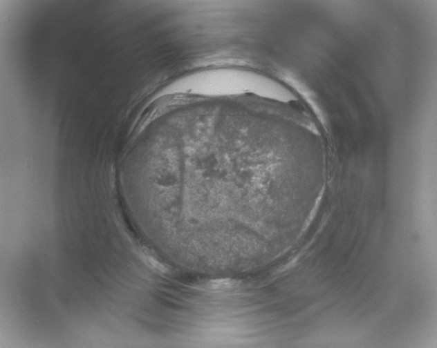 X0000068890153200606021928