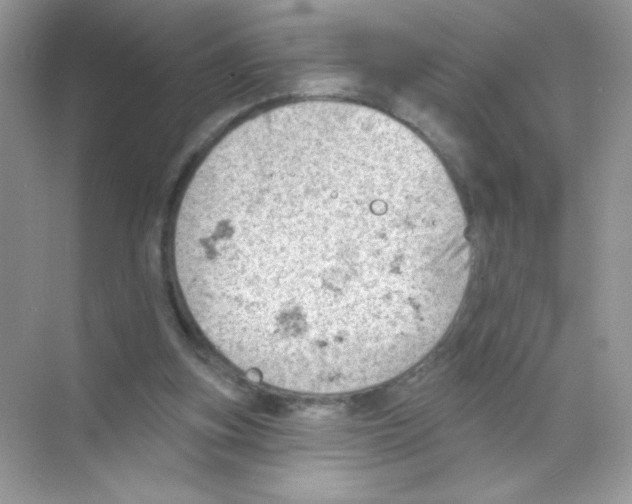 X0000068890155200606021928