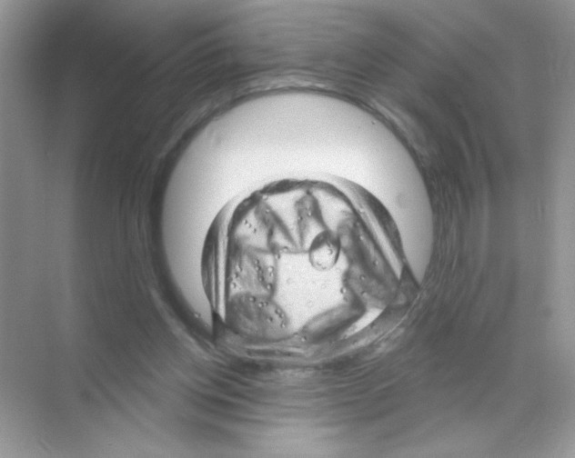 X0000068890158200606021928