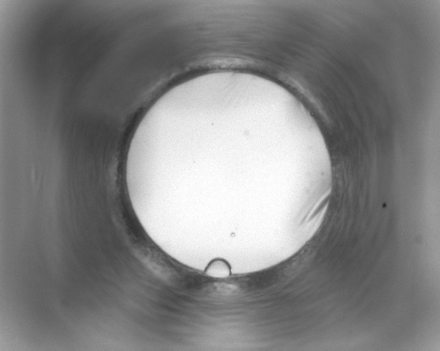 X0000068890159200606021928