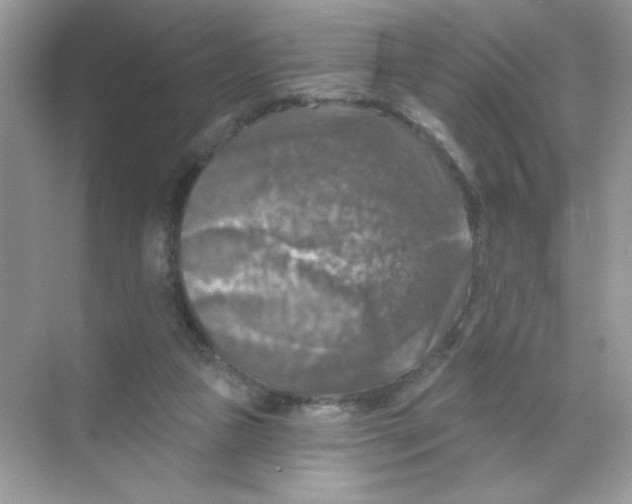 X0000068890161200606021928