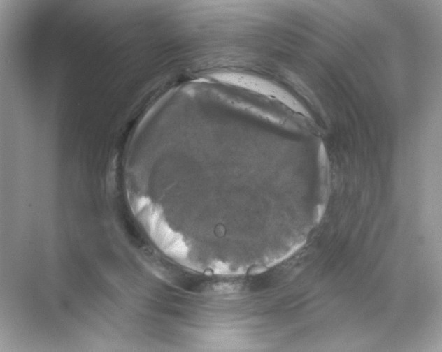 X0000068890163200606021928