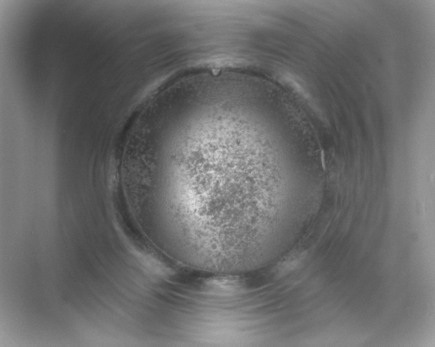 X0000068890164200606021928