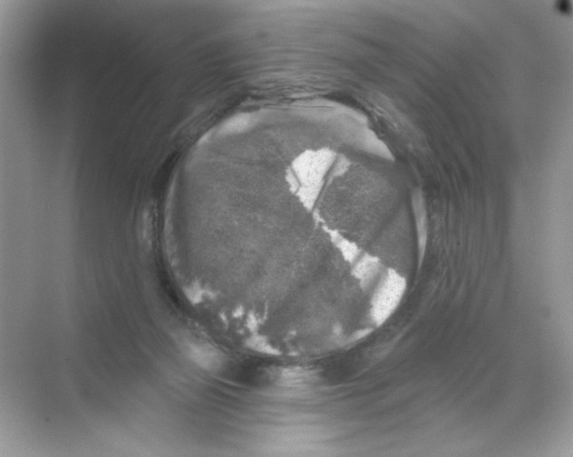 X0000068890165200606021928