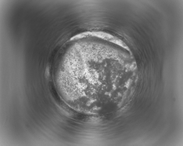 X0000068890166200606021928