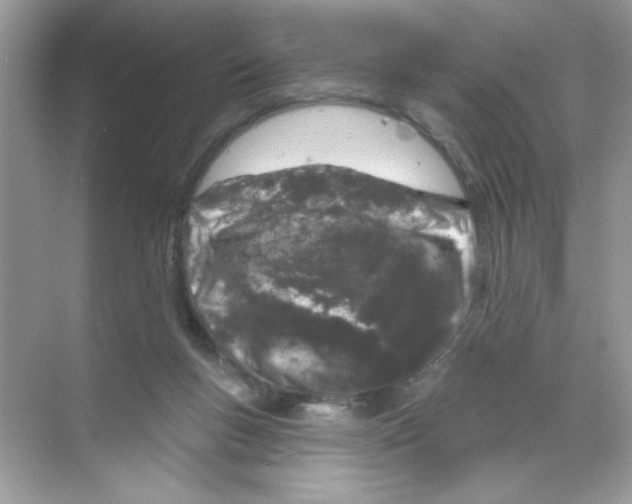 X0000068890167200606021928