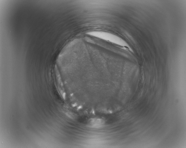 X0000068890169200606021929